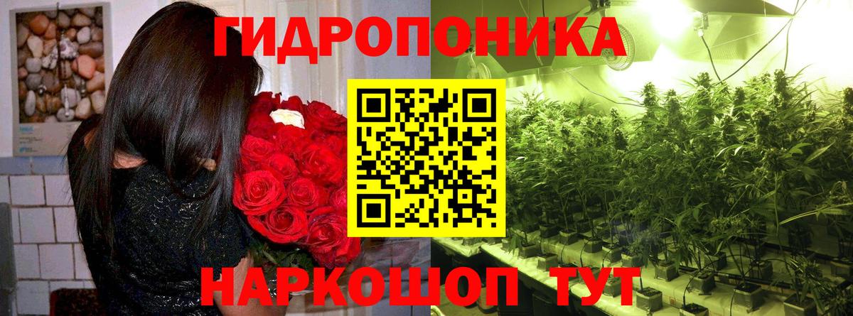 Бошки марихуана ГИДРОПОН  Марихуана THC 21%  Вход с VPN  Сибай 